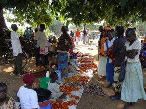 Tomates y cebollas